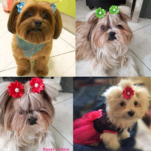 Load image into Gallery viewer, Bright Pet Puppy Dog Cat Hair Bows Rubber Bands Flowers Pearls Pet Grooming Bows Hair Accessories Pet Supplies