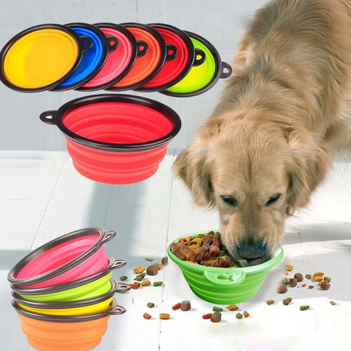 New Dog accessories silicone dog bowl candy color outdoor travel portable puppy doogie food container feeder dish on sale